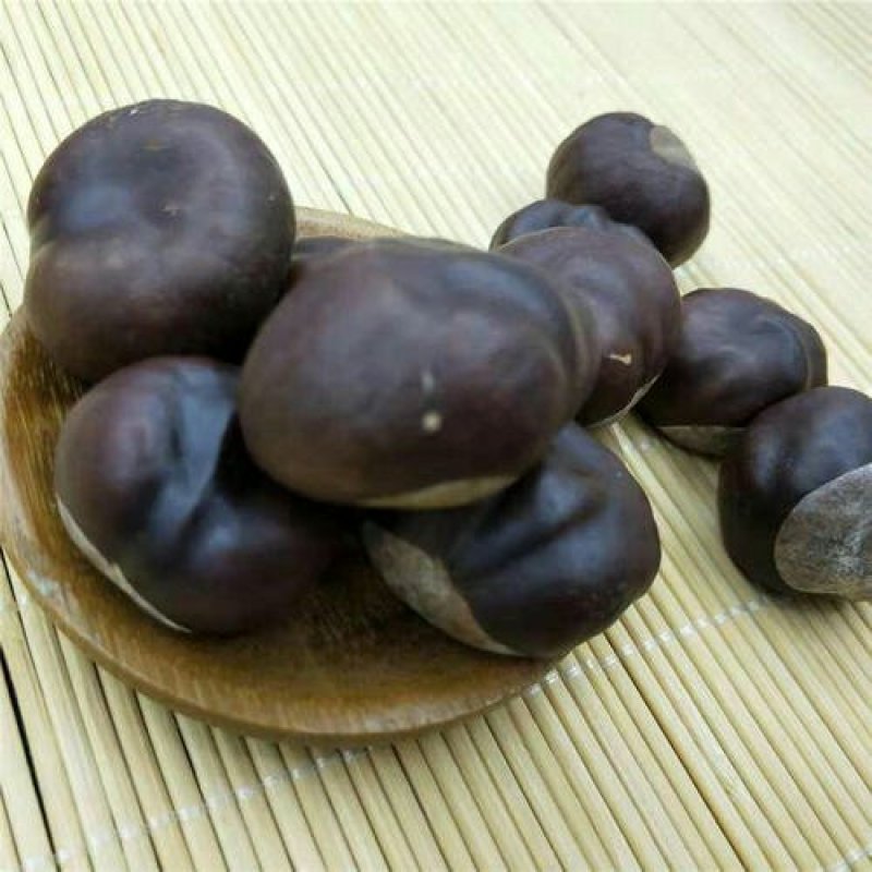 娑罗子，常年批发供应娑罗子，中药材