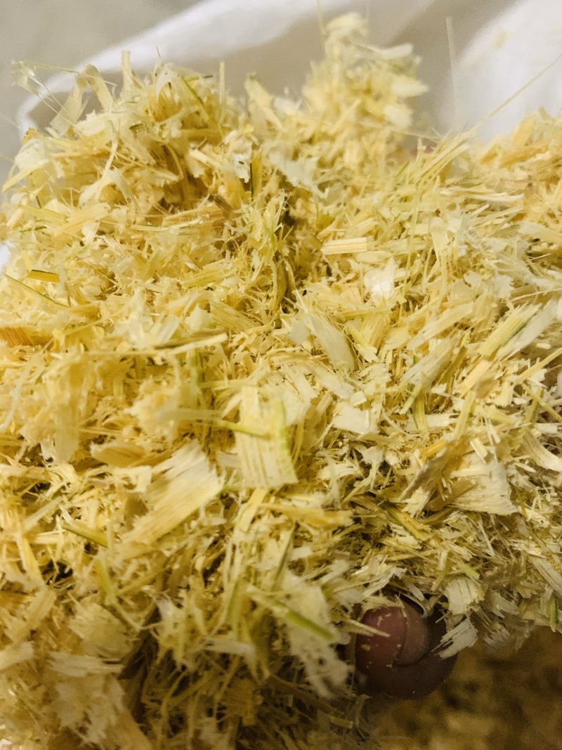 竹屑除臭杀菌保暖垫料无尘！养小动物专用