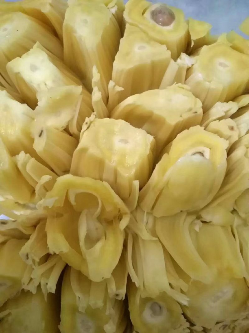 珍珠菠萝蜜。七到15斤一个，刚刚好一家三口。够甜够鲜。