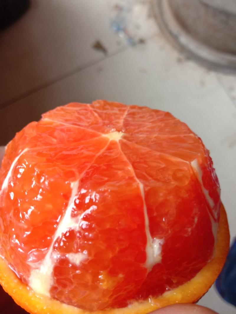 湖北橙子血橙中华红橙脐橙橙子红心橙产地现货