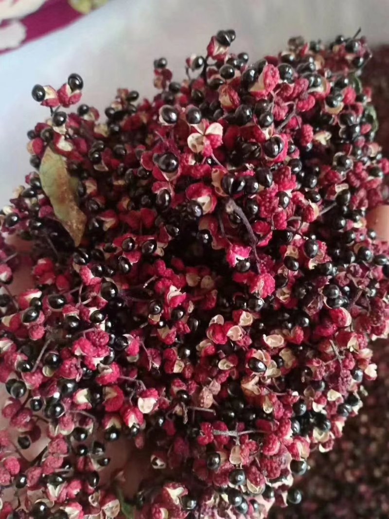 花椒烘干机家用烘干机金银花烘干辣椒烘干吴茱萸烘机