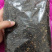 沙棘果干两斤以上沙棘中草药农副土特产品1111