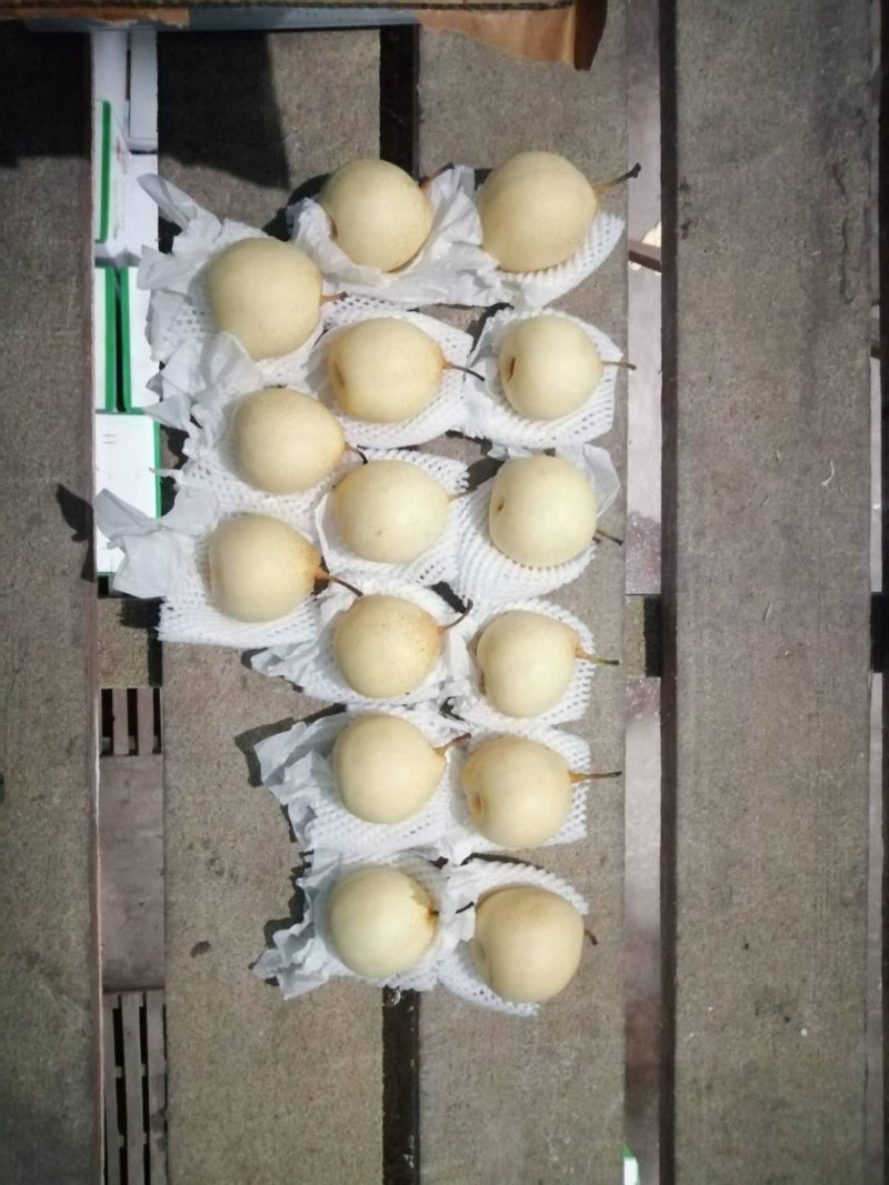水晶鸭梨口感酸甜口皮薄肉丝四季供应各种型号