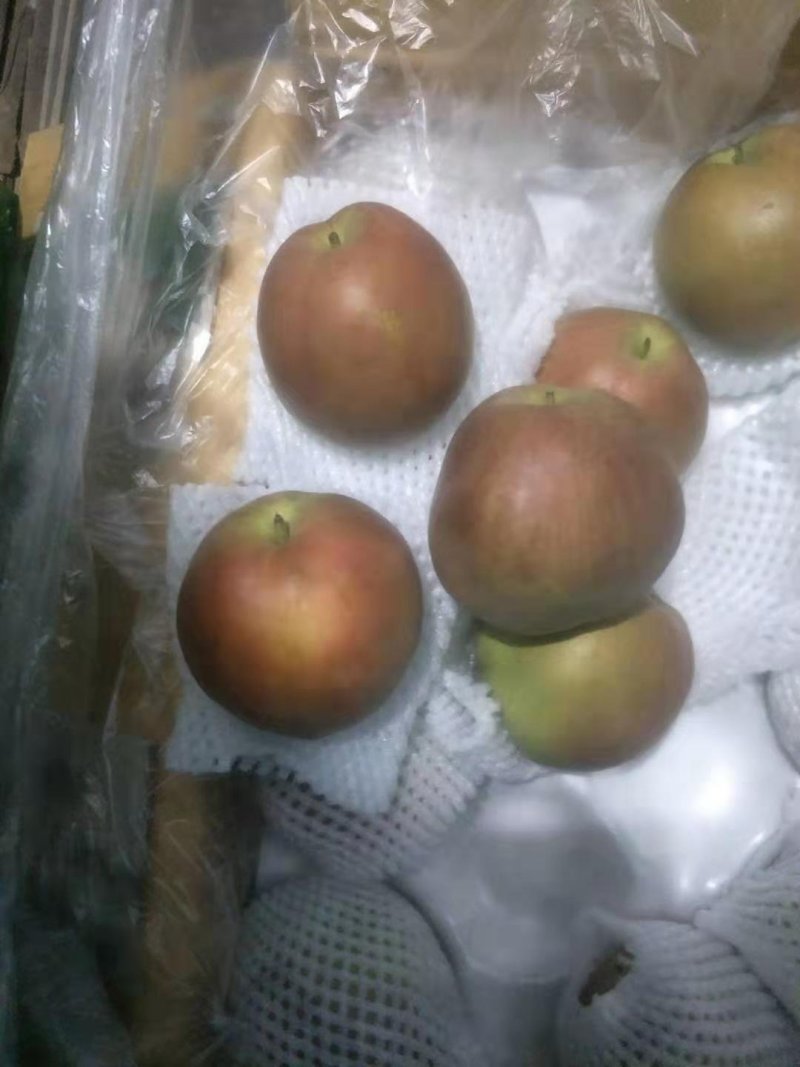 玉露香梨🍐口感脆甜可口汁多肉细嫩