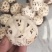 花菇，大中小，每0.5相隔过筛1.8到12