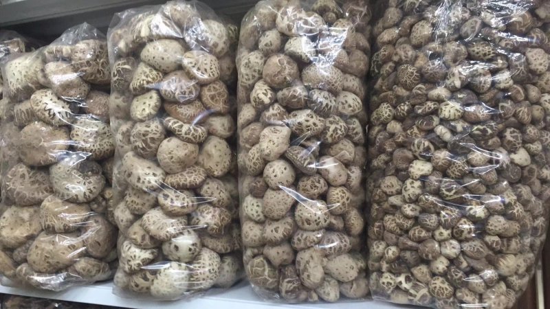 花菇，大中小，每0.5相隔过筛1.8到12
