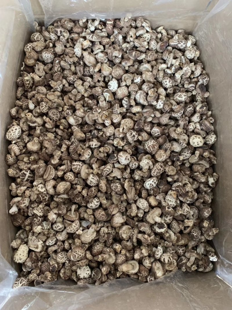 花菇，大中小，每0.5相隔过筛1.8到12