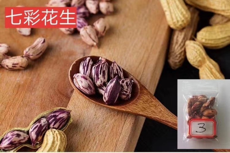 缅甸进口纯天然七彩花生产地直销
