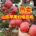 山东红富士苹果大量供应，产地看货选货以质论价，全国发货