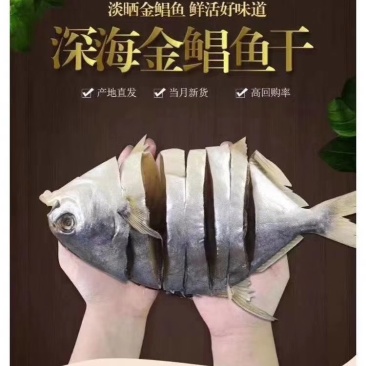 本港金昌鱼干每一条都是活杀晒干的