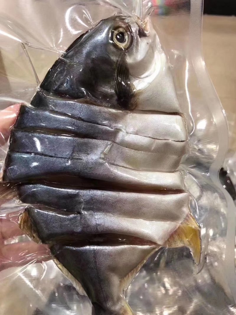 本港金昌鱼干每一条都是活杀晒干的