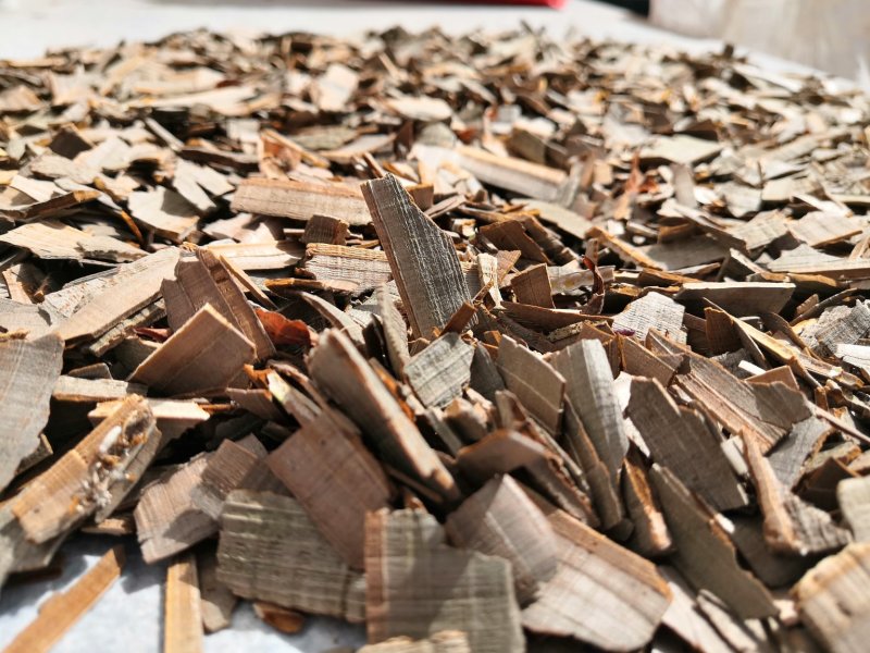 【产地直供】甘肃野生鬼箭羽一手货源产地直供