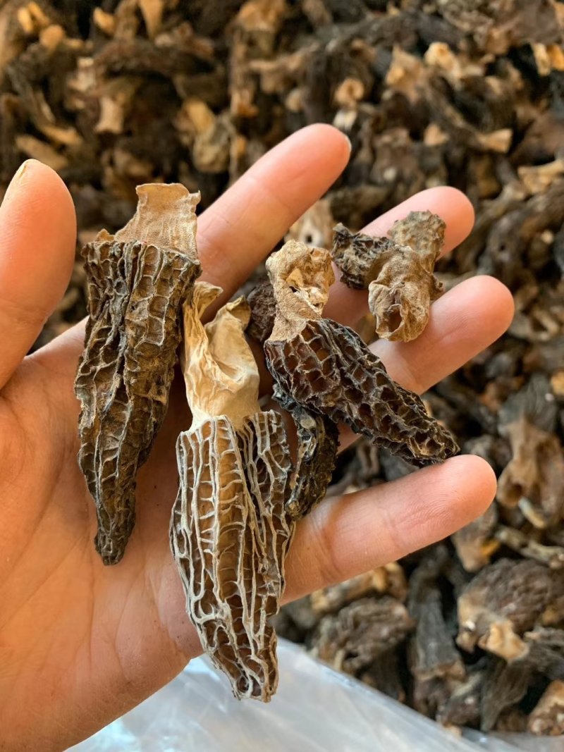 特价羊肚菌干货，一斤一袋，两袋包邮
