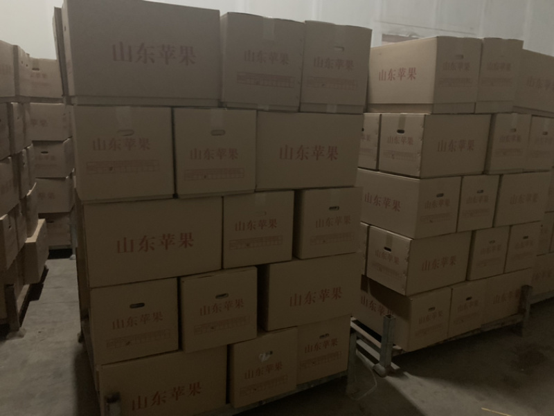 烟台红富士苹果大量供货