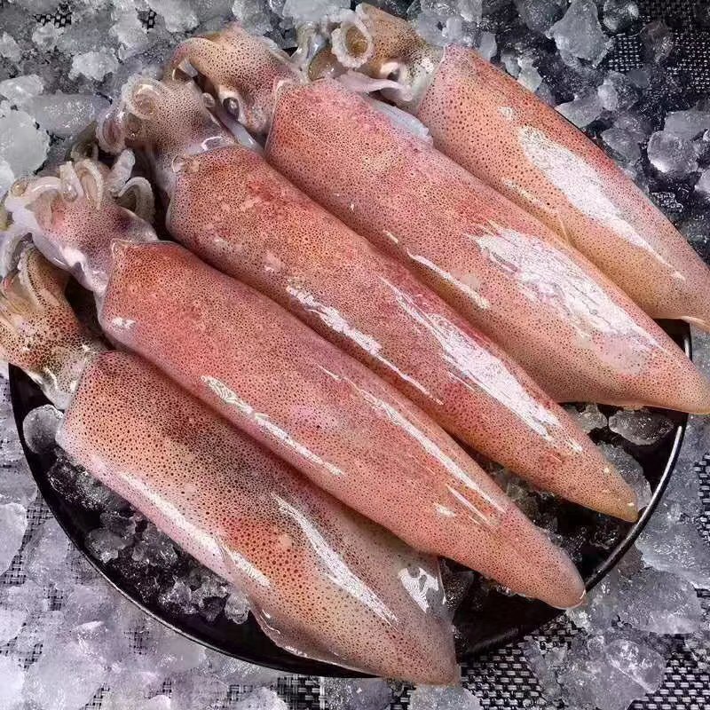 活冻鱿鱼