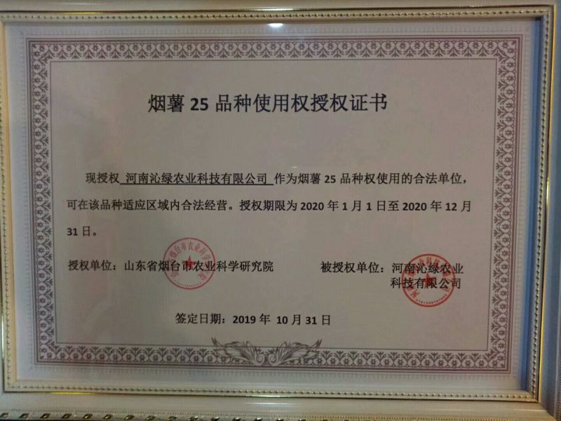 农科院授权脱毒红薯苗，烟薯苗西瓜红红薯苗济薯26苗龙九苗