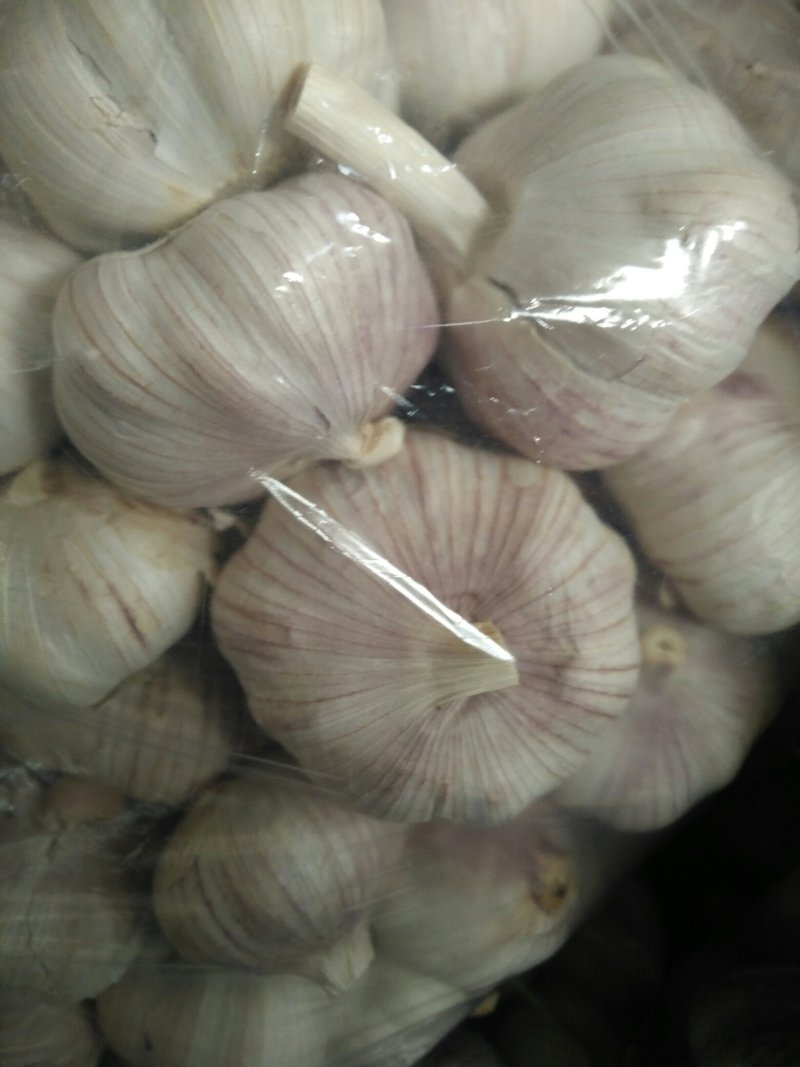 金乡大蒜个头大，质优价廉，市场专供，协助装车全国发货
