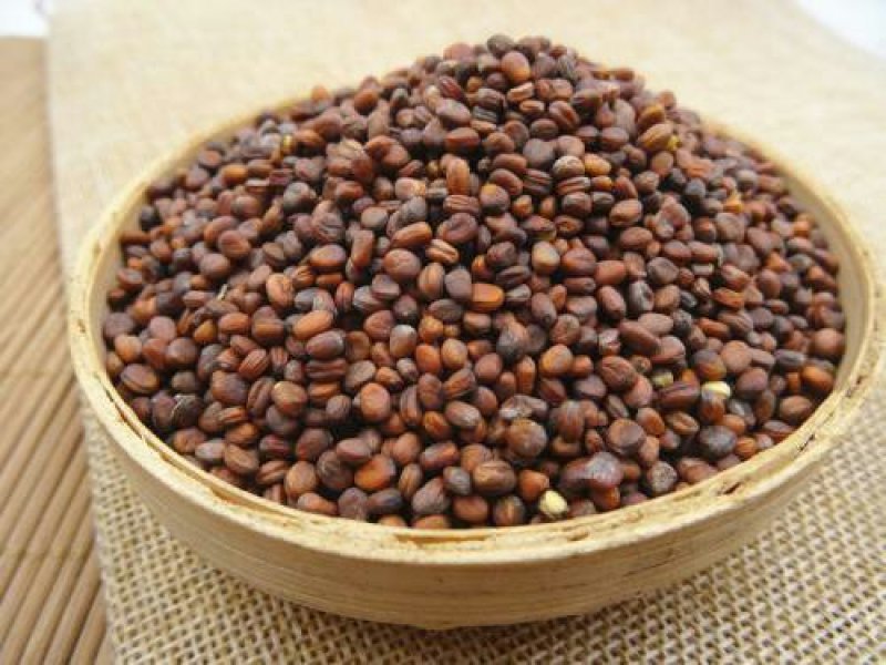 莱菔子，常年批发供应莱菔子中药材