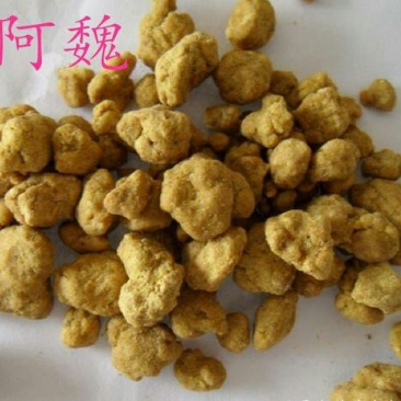 阿魏，常年批发供应阿魏，钓鱼调味剂