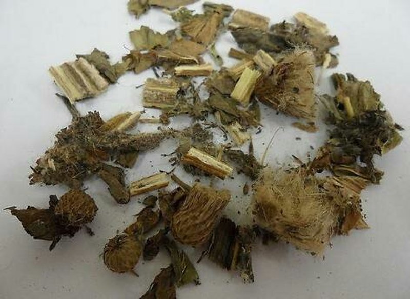 大蓟，常年批发供应冷背中草药，大蓟，大蓟根