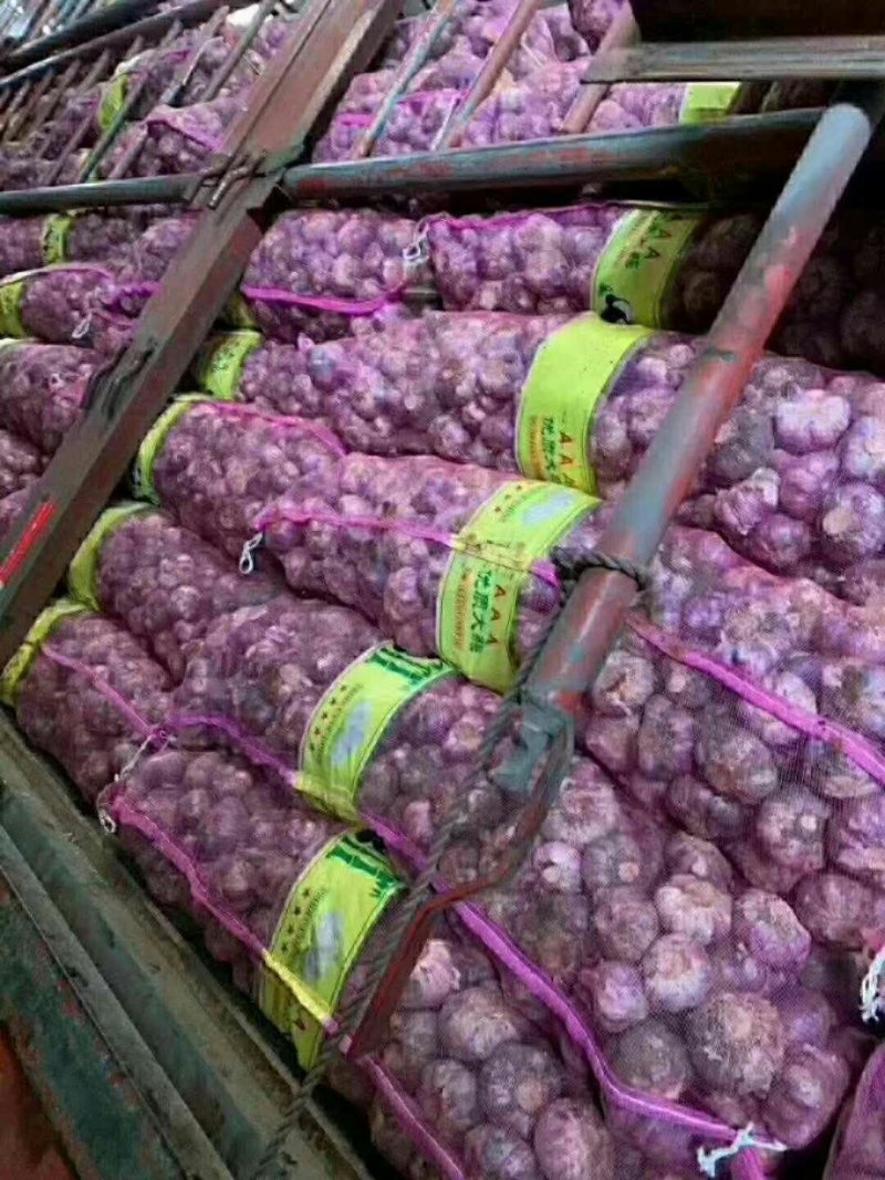 云南新鲜紫皮大蒜鲜大蒜10块钱3斤模式