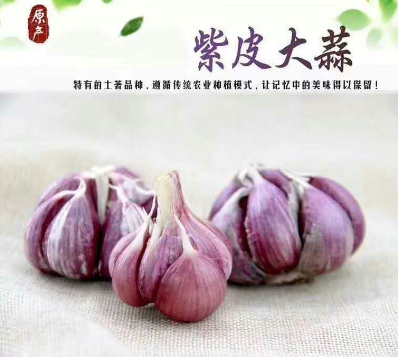 云南新鲜紫皮大蒜鲜大蒜10块钱3斤模式