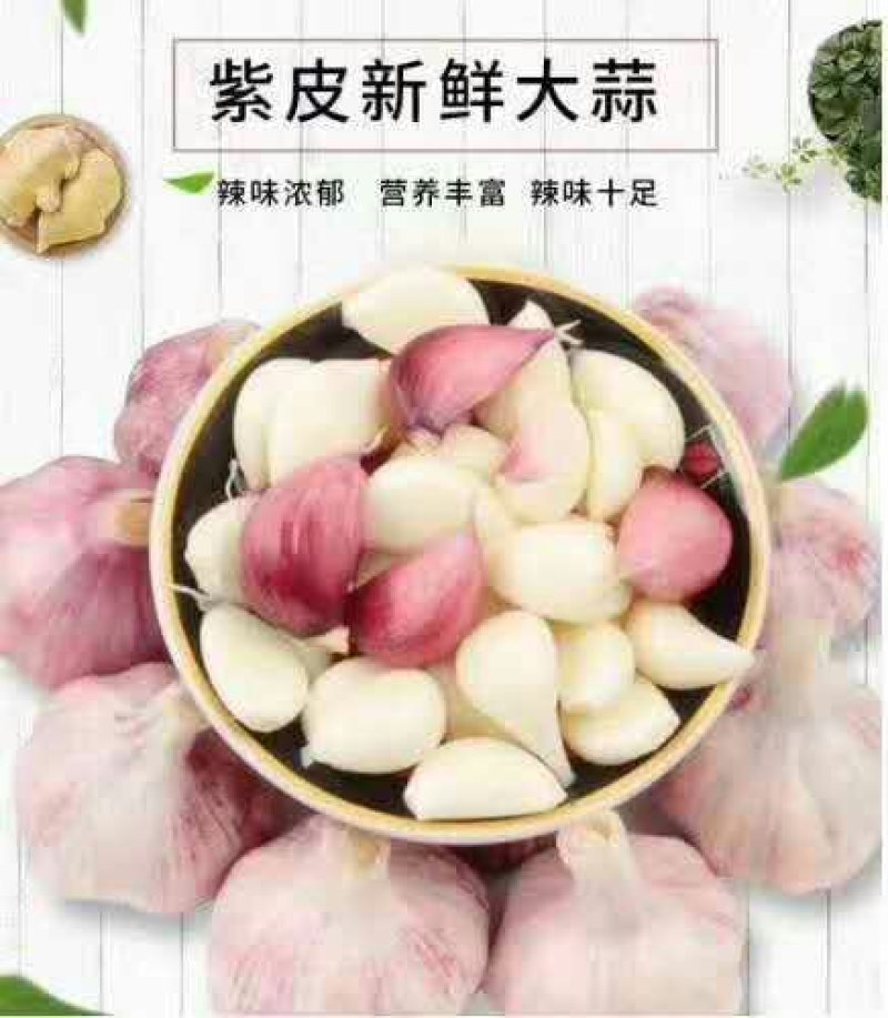 云南新鲜紫皮大蒜鲜大蒜10块钱3斤模式