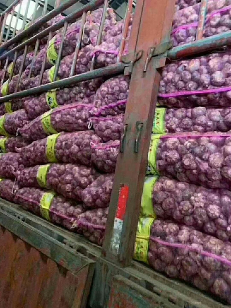 云南新鲜紫皮大蒜鲜大蒜10块钱3斤模式