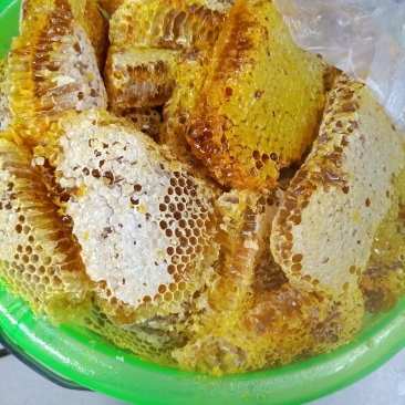 云南野生蜂蜜_带巢小蜜蜂蜜_追求品质_吃的放心