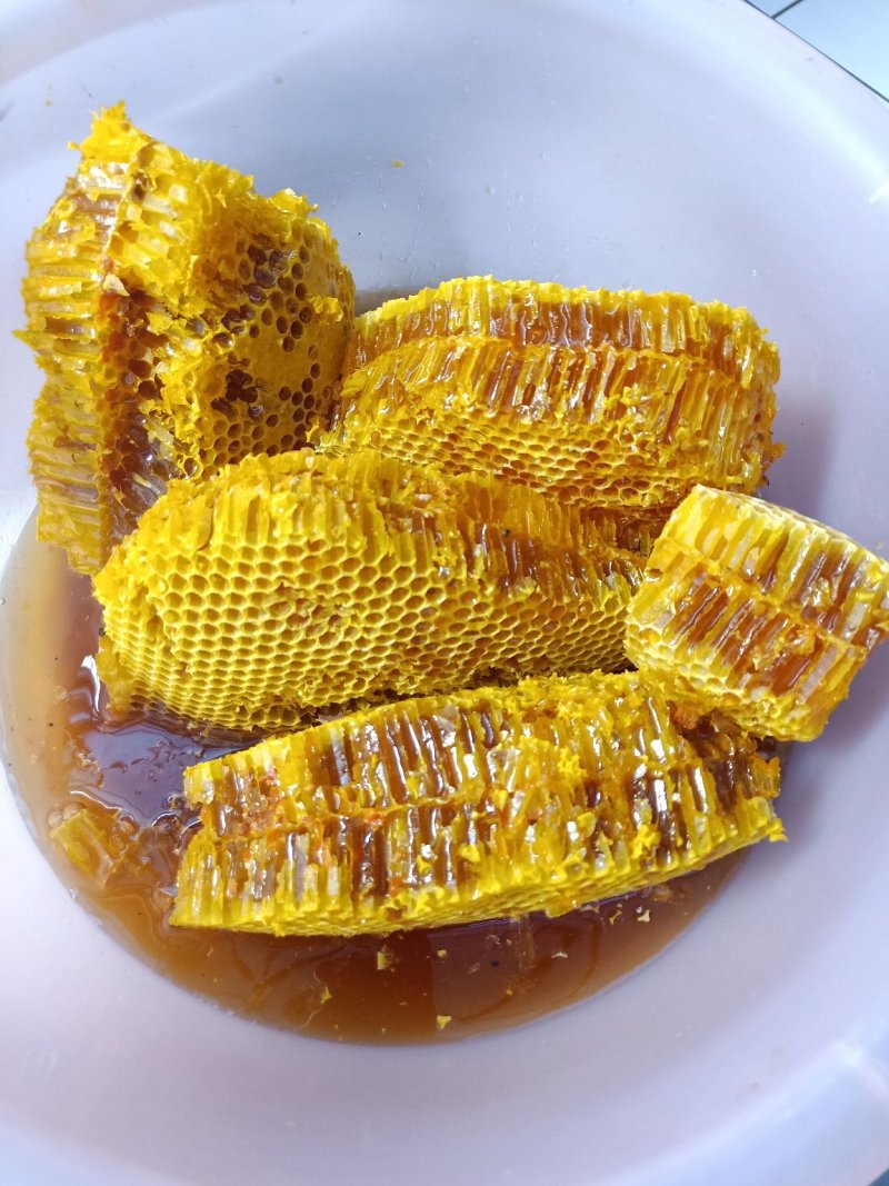 云南野生蜂蜜_带巢小蜜蜂蜜_追求品质_吃的放心