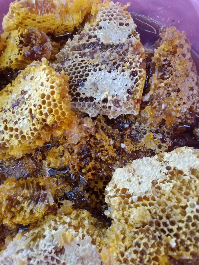 云南野生蜂蜜_带巢小蜜蜂蜜_追求品质_吃的放心