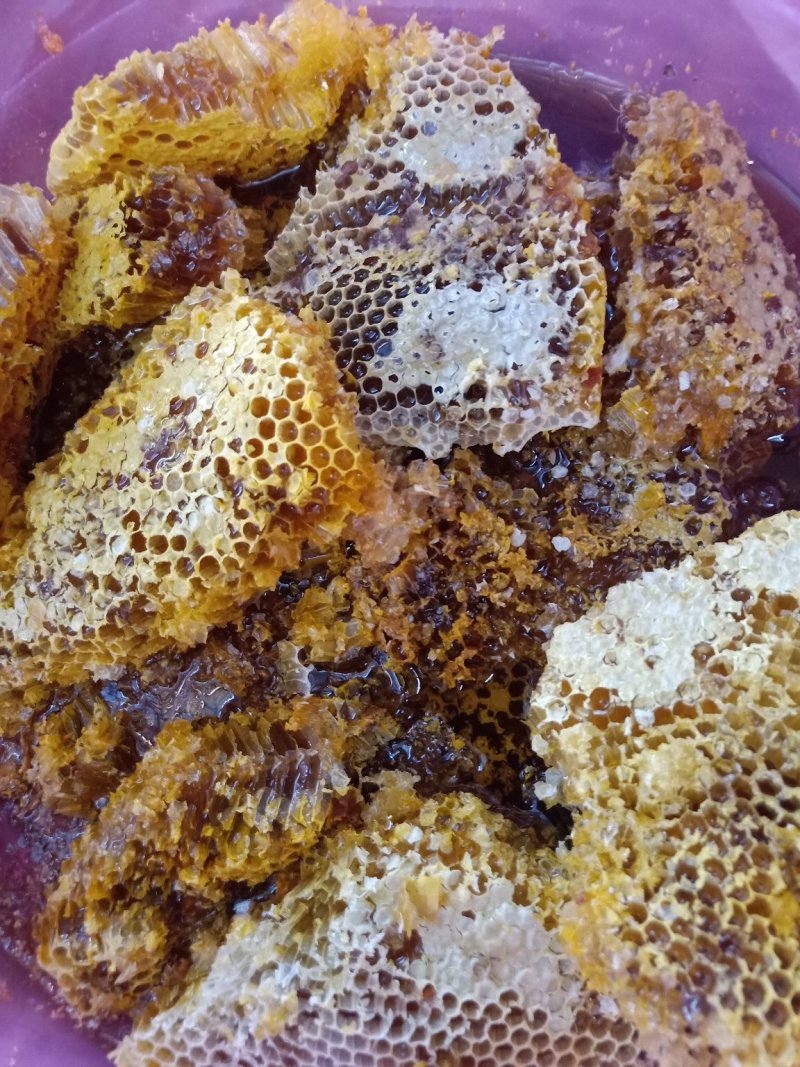 云南野生蜂蜜_带巢小蜜蜂蜜_追求品质_吃的放心