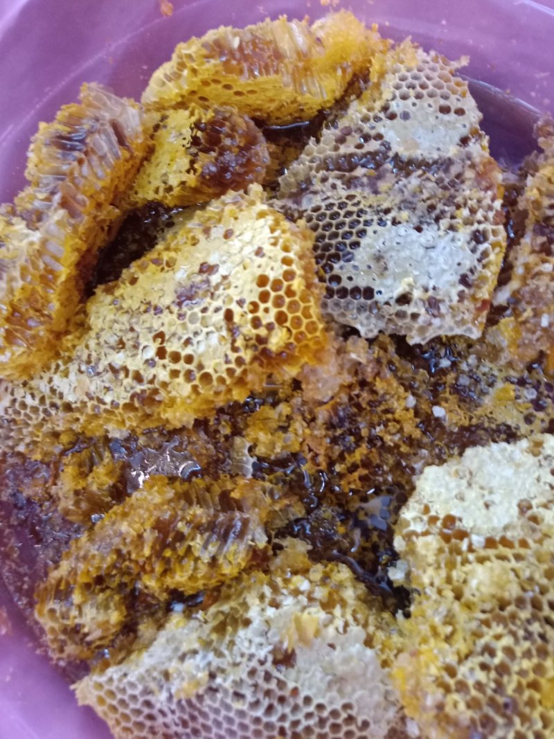 云南野生蜂蜜_带巢小蜜蜂蜜_追求品质_吃的放心