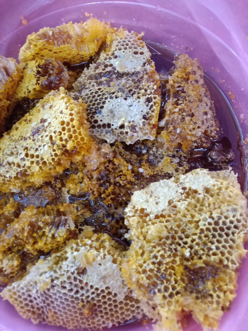 云南野生蜂蜜_带巢小蜜蜂蜜_追求品质_吃的放心
