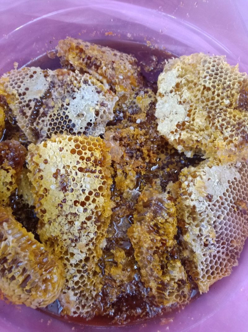 云南野生蜂蜜_带巢小蜜蜂蜜_追求品质_吃的放心