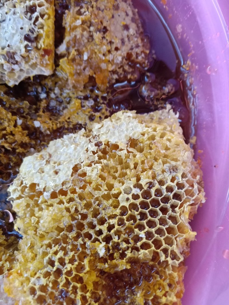 云南野生蜂蜜_带巢小蜜蜂蜜_追求品质_吃的放心