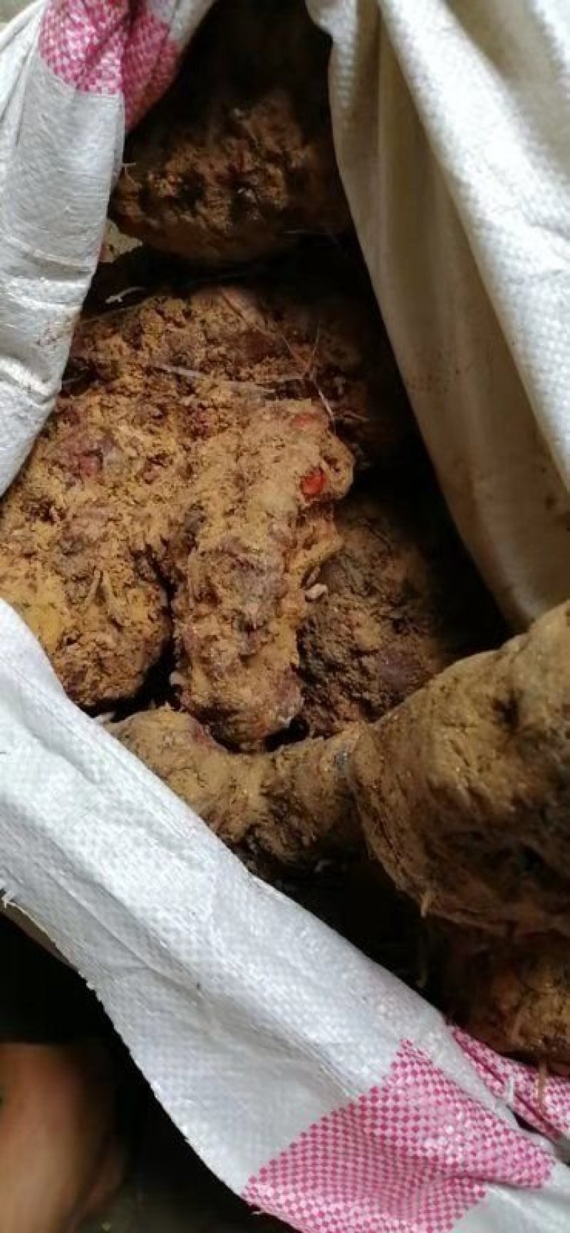 土伏苓，量大优惠
