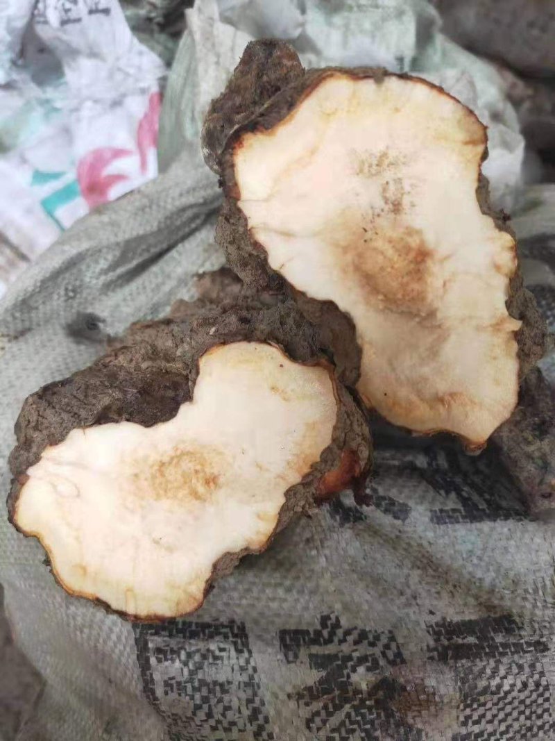 土伏苓，量大优惠