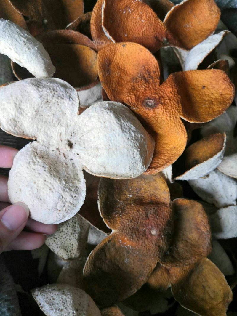 中皮果青皮/落地皮新会产