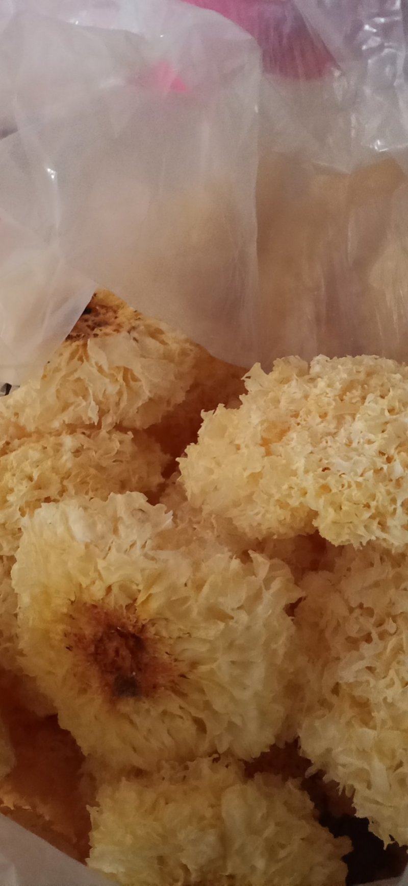 银耳，古田银耳，丑耳，小银耳