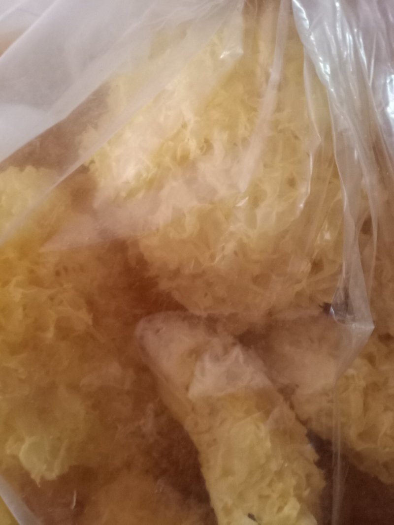 银耳，古田银耳，丑耳，小银耳