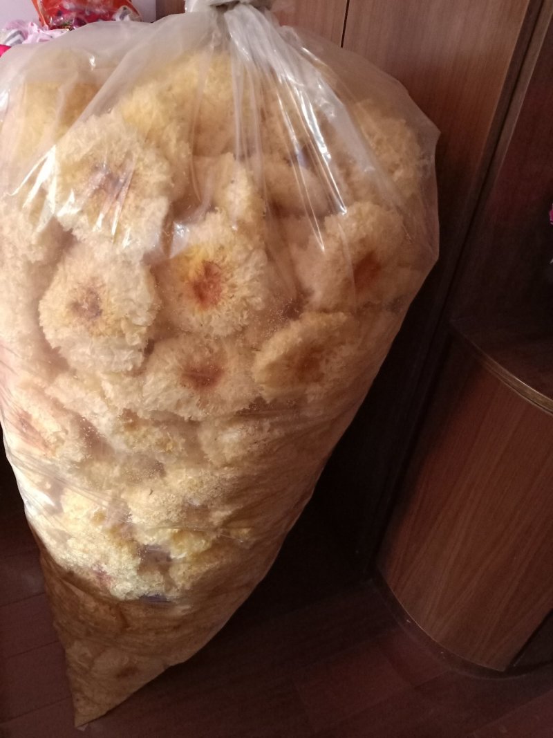 银耳，古田银耳，丑耳，小银耳