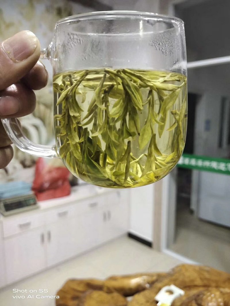 安吉白茶2020头采浙江产地批发