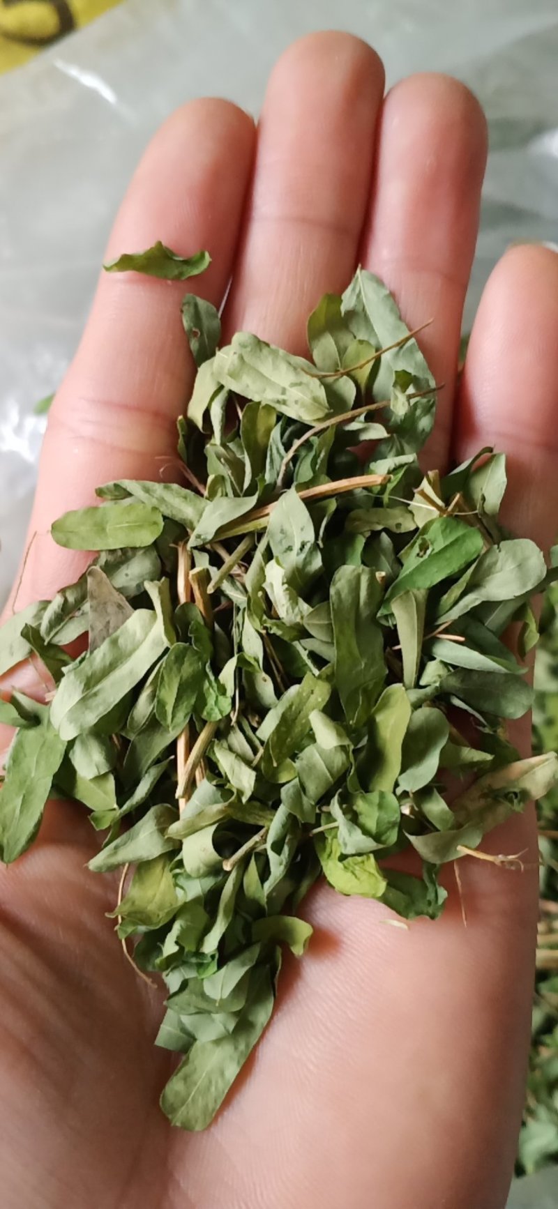 广西金秀大瑶山土特产鸡骨草干货，整枝切片