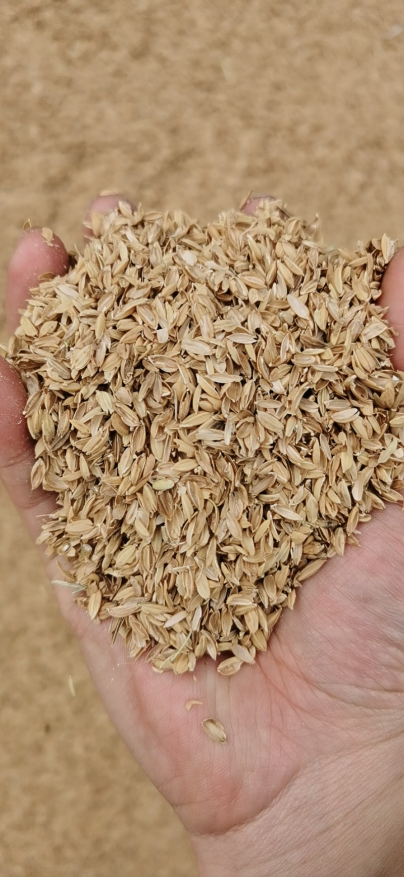 厂家直销优质压缩稻壳，日产150—200吨
