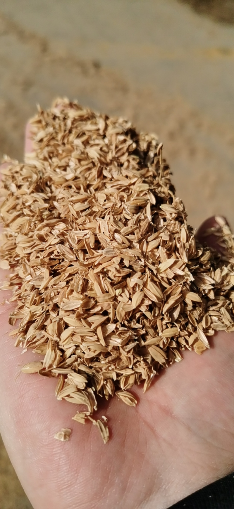 厂家直销优质压缩稻壳，日产150—200吨