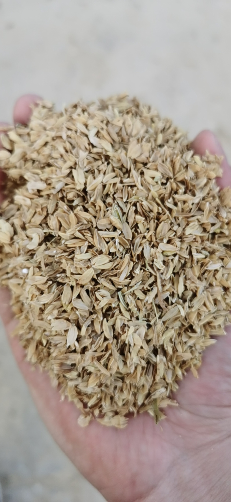 厂家直销优质压缩稻壳，日产150—200吨