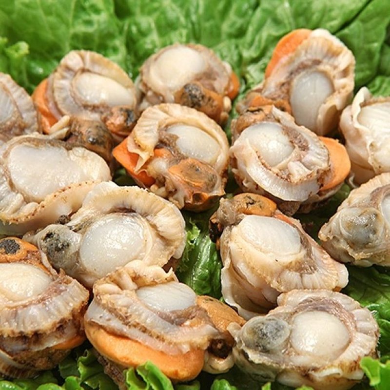 10斤鲜活冷冻新鲜扇贝肉毛蛤肉扇贝海鲜水产大扇贝肉超大