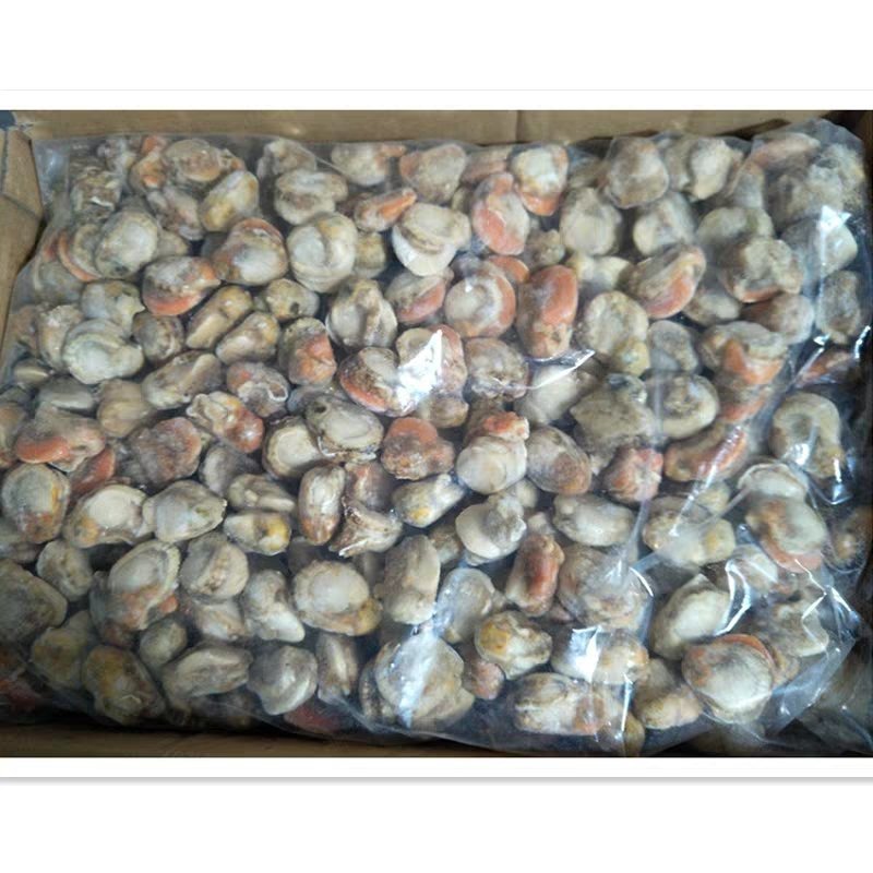 10斤鲜活冷冻新鲜扇贝肉毛蛤肉扇贝海鲜水产大扇贝肉超大
