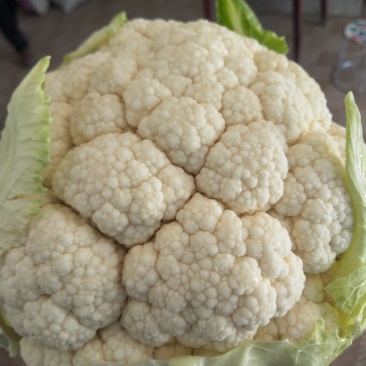 陕西汉中菜花，乳白紧花，单个1--3斤带叶